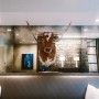 longhorn antiquemirror